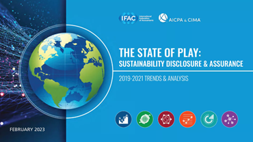 The State of Play in Sustainability Assurance